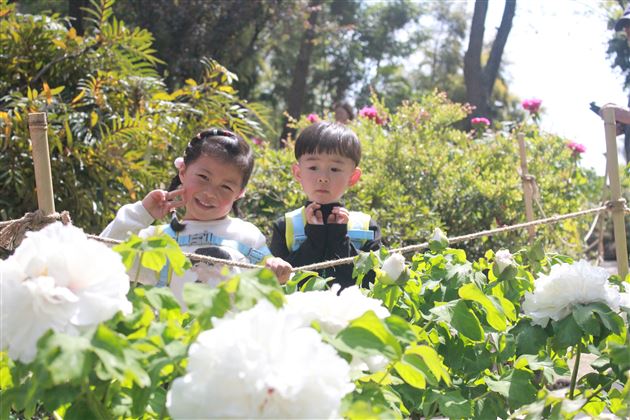 棠湖仁智幼儿园成都植物园春游活动圆满举行 