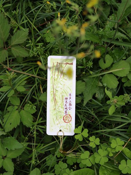 棠外初一语文组清明主题语文实践作业作品展