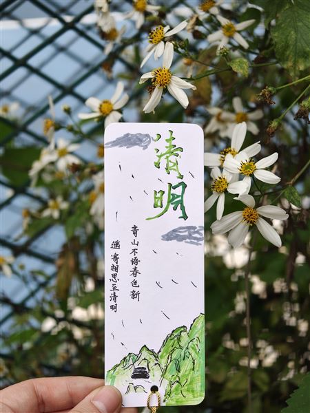 棠外初一语文组清明主题语文实践作业作品展