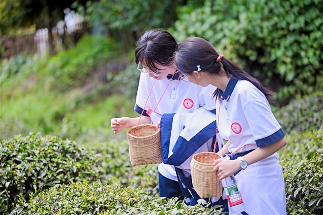 蒙顶寻茶承古韵 实践砺行育少年 