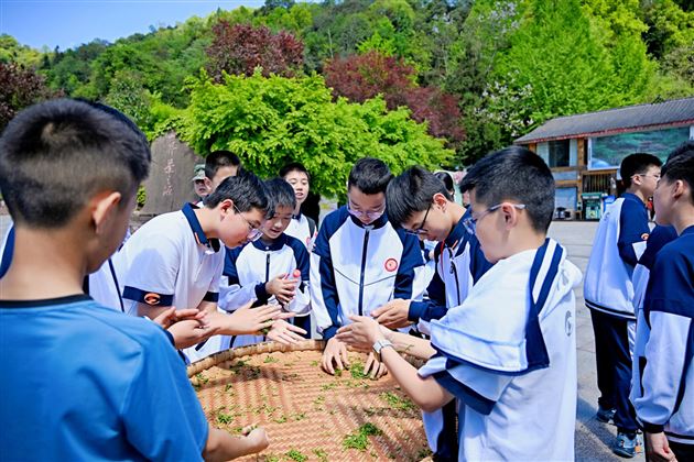 蒙顶寻茶承古韵 实践砺行育少年