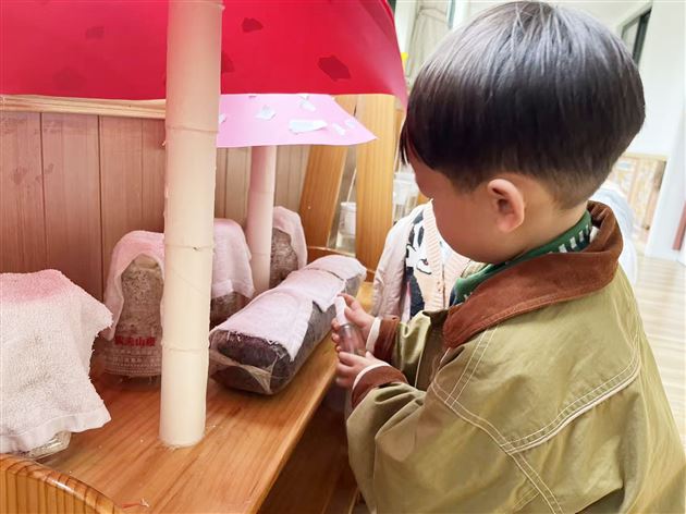 棠湖仁智幼儿园开展“绿色小世界”植物角成果观摩活动