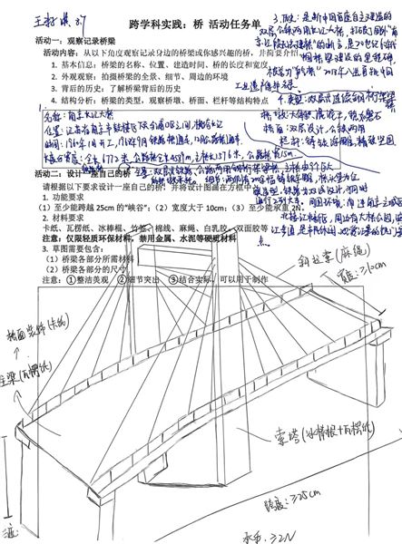 调查报告