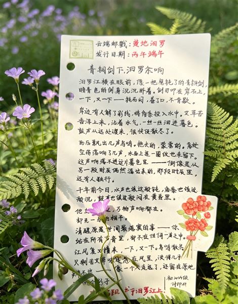 粽香起，文脉生：一群少年的端午手记