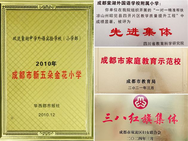 棠外小学党总支荣获双流区教育系统先进基层党组织称号