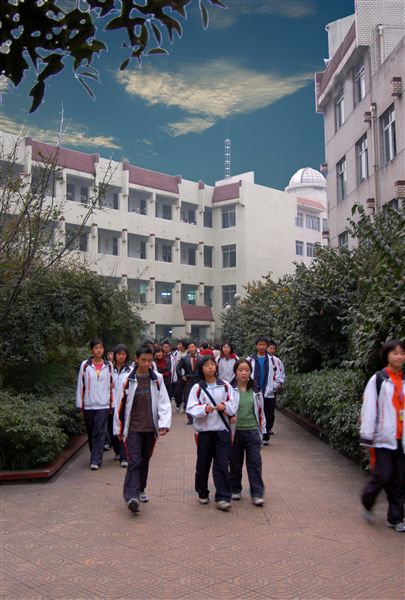 初冬的校园（五）