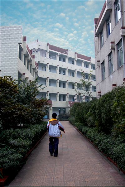 初冬的校园（六）