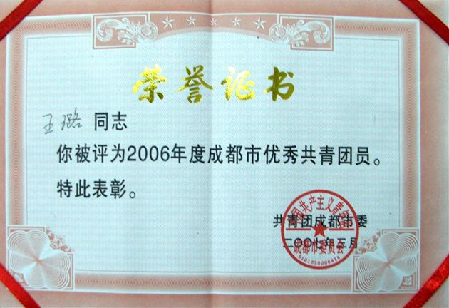 成都市优秀共青团员