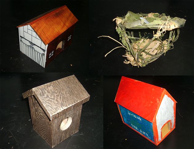 我为小鸟安个家(一)