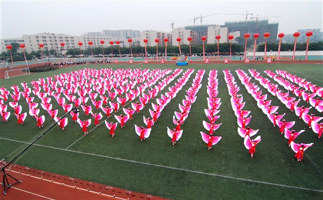 放飞梦想(四)</p><p>　　