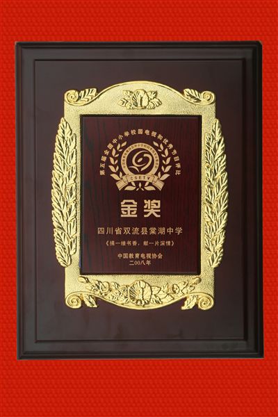 《捐一缕书香，献一片深情》荣获全国专题类金奖