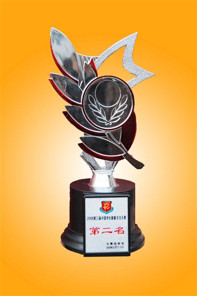 棠中外语学校代表队喜获第三届中国学生健美操锦标赛亚军(八)