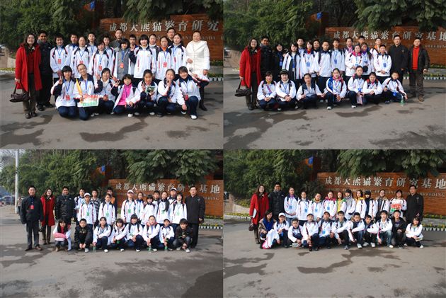 地震灾区学生赴菲律宾访问团参观成都大熊猫基地(七)