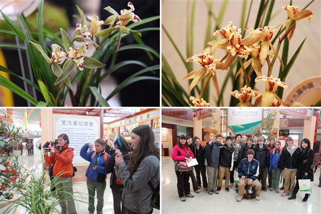 美国缅因州学生代表团活动纪实(八)