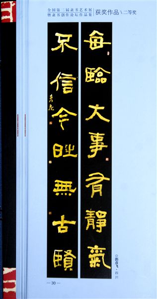 郭彦飞获奖作品