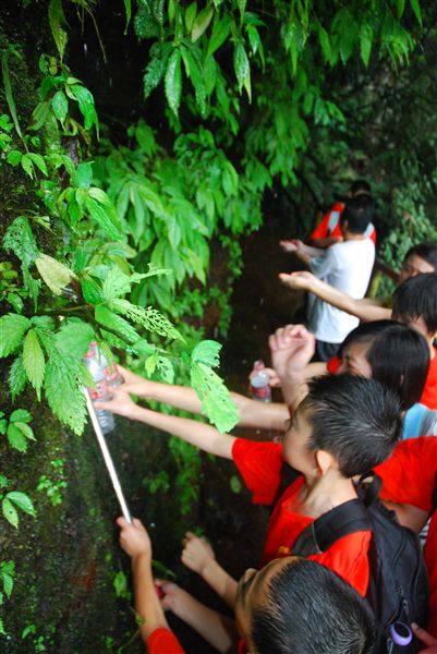 棠外首届国际夏令营畅游天台山(十)