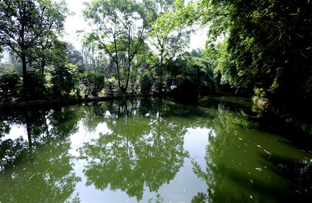 俏不银春，秋亦烂漫１０