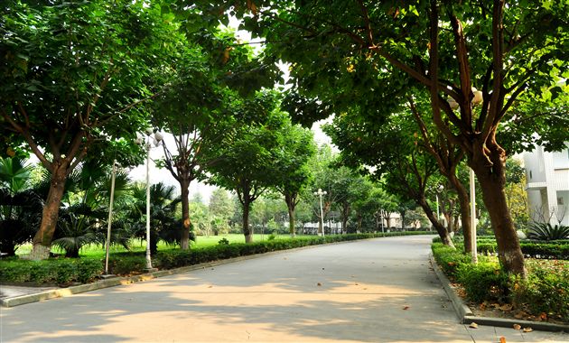 棠外、棠中校园秋色１