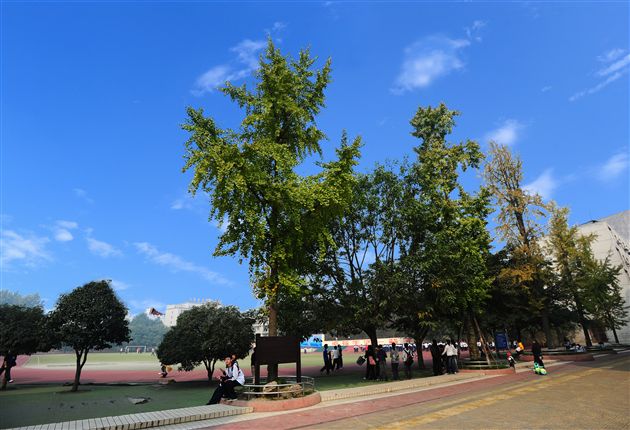 棠外、棠中校园秋色５