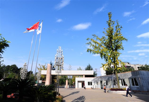 棠外、棠中校园秋色６