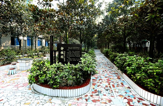 棠外、棠中校园秋色９