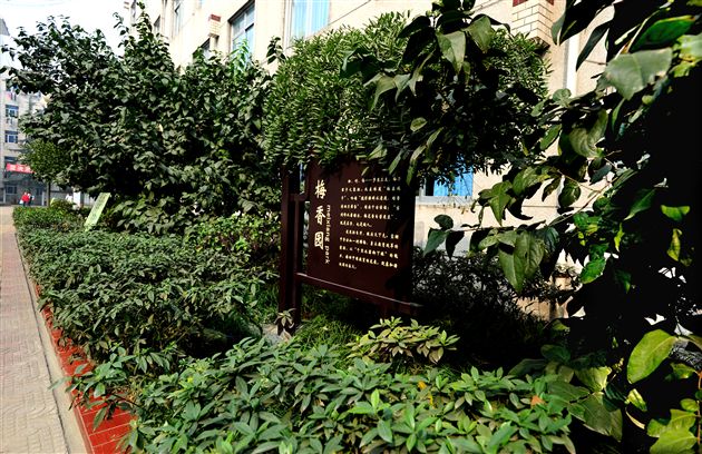 棠外、棠中校园秋色１０