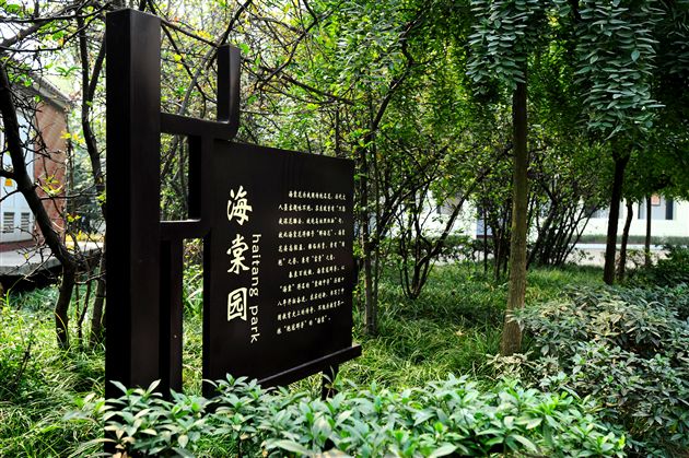 棠外、棠中校园秋色１１