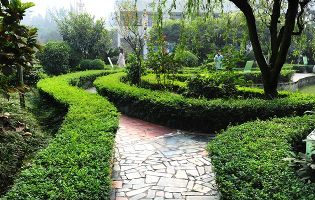 棠外、棠中校园秋色１４