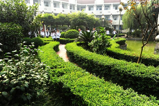 棠外、棠中校园秋色１５