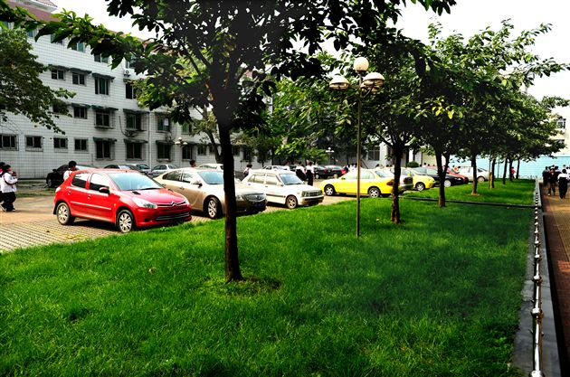 棠外、棠中校园秋色１６