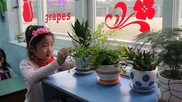 棠外附小植树节活动5