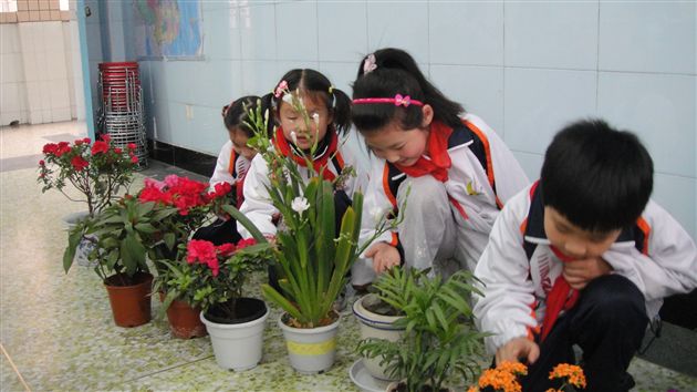 棠外附小植树节活动7