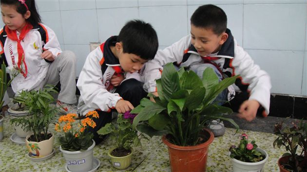 棠外附小植树节活动8