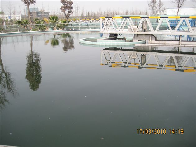 棠外第一支部主题活动5