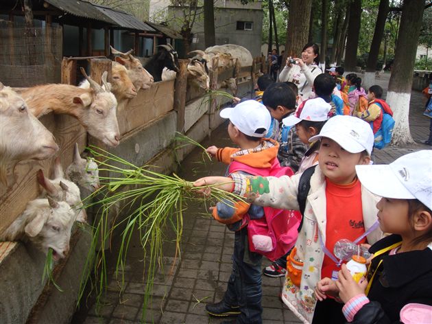 动物园里的秘密3