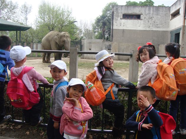 动物园里的秘密4