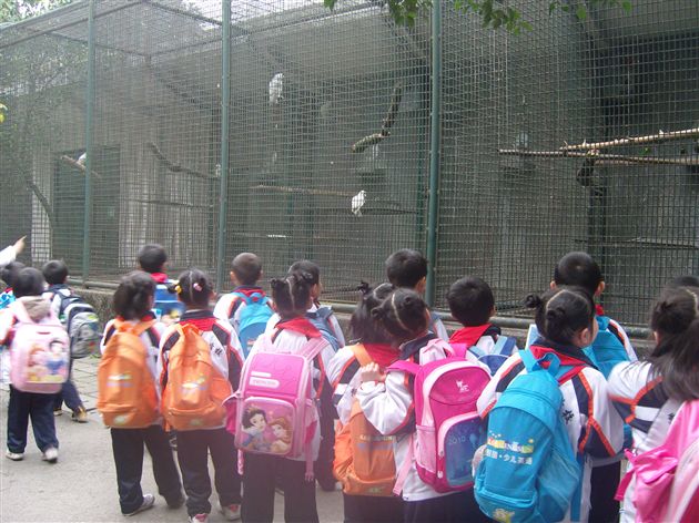 美丽的成都动物园7