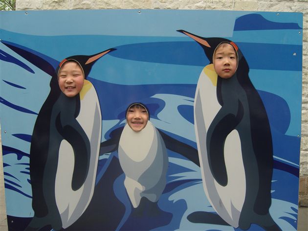 美丽的成都动物园8