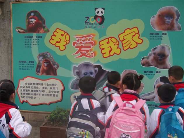 美丽的成都动物园10