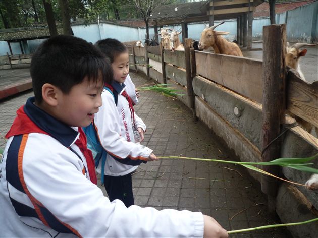 棠外附小二年级社会实践活动3</p><p>　　