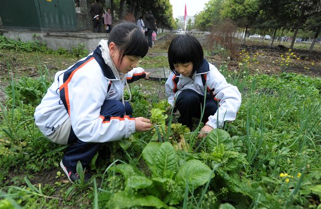 棠外初2012级第二课堂12