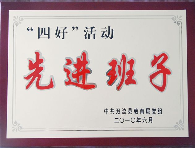 党组织四好先进班子奖牌