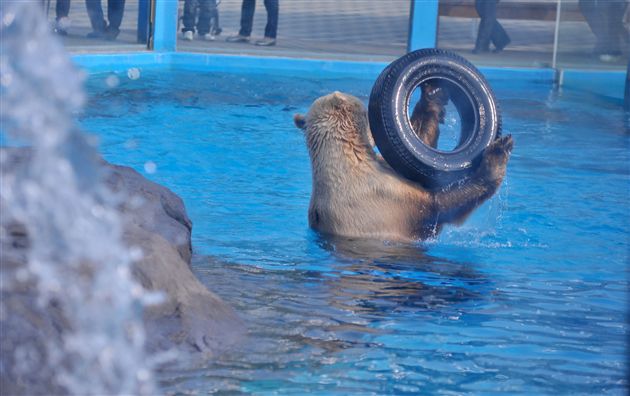 棠外PGA中美国际课程班社会实践活动5