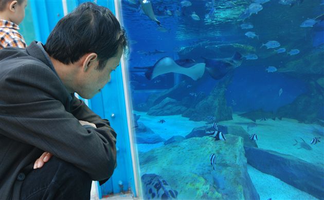 棠外老教师重阳游华阳海洋公园记17