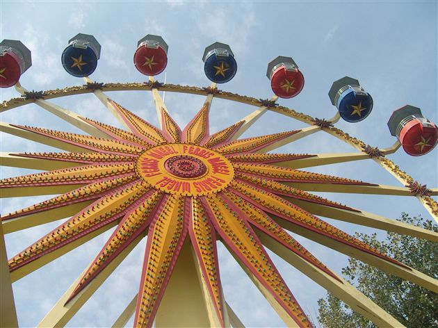 棠外附小二年级社会实践活动2