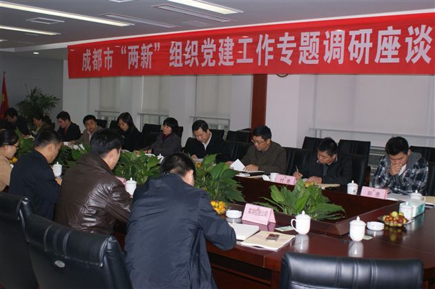 市“两新”党建工作专题调研1