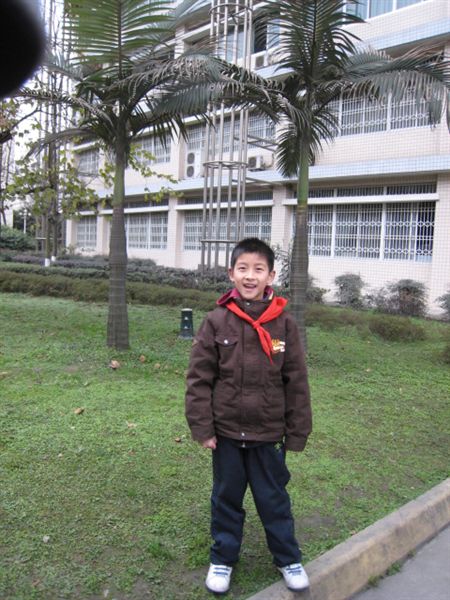 棠外附小参加双流县第一届运动会中小学生乒乓球锦标赛获佳绩</p><p>　　