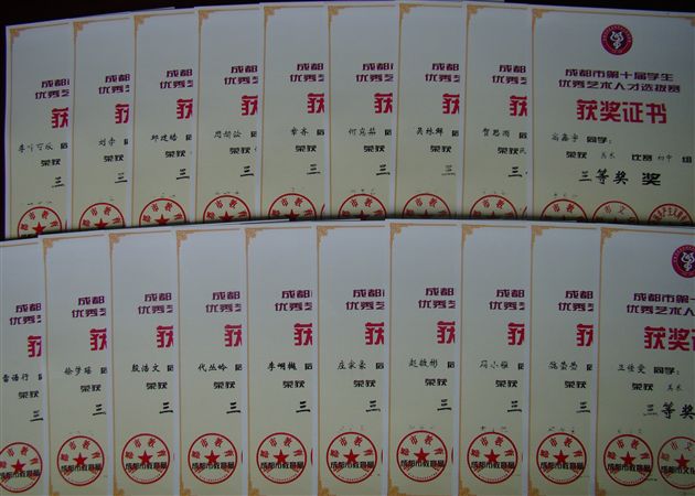 棠外参加成都市第十届中小学生优秀人才选拔赛获佳绩